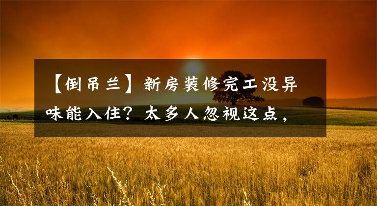 【倒吊兰】新房装修完工没异味能入住？太多人忽视这点，别等出现问题再后悔