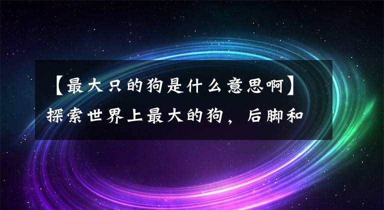 【最大只的狗是什么意思啊】探索世界上最大的狗，后脚和姚明一样高文章配图
