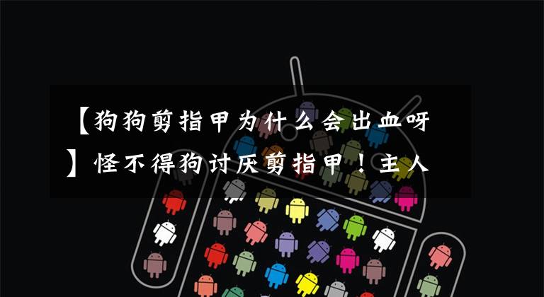 【狗狗剪指甲为什么会出血呀】怪不得狗讨厌剪指甲！主人一手残废，狗指甲就会流血。文章配图