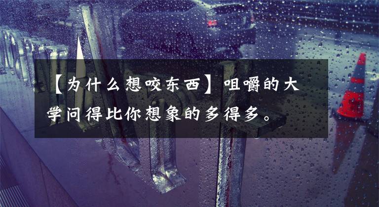【为什么想咬东西】咀嚼的大学问得比你想象的多得多。文章配图