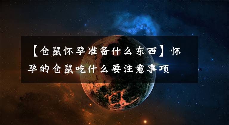 【仓鼠怀孕准备什么东西】怀孕的仓鼠吃什么要注意事项文章配图