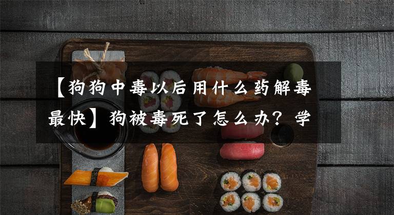 【狗狗中毒以后用什么药解毒最快】狗被毒死了怎么办？学习这种简单的解毒方法，也许能挽救狗的生命。文章配图