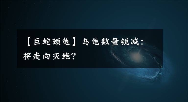 【巨蛇颈龟】乌龟数量锐减：将走向灭绝？