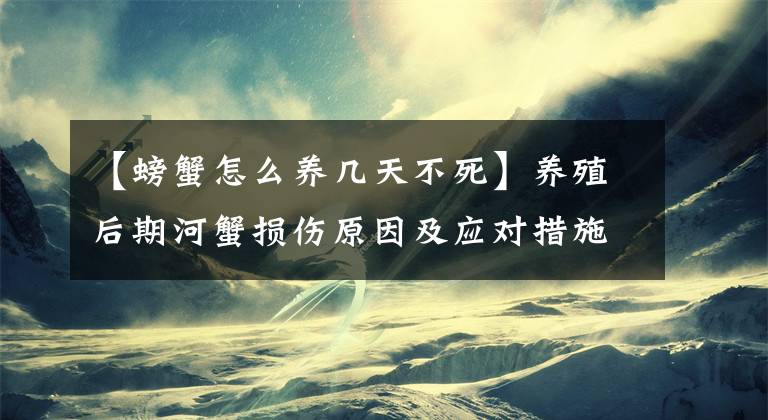 【螃蟹怎么养几天不死】养殖后期河蟹损伤原因及应对措施