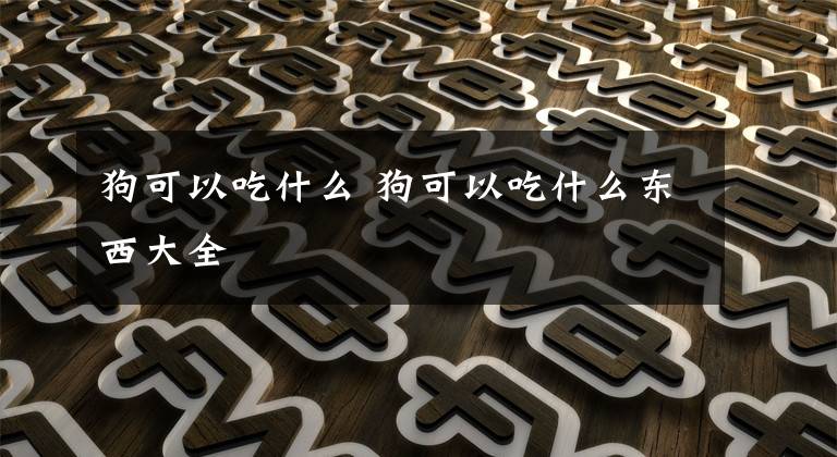 狗可以吃什么 狗可以吃什么东西大全文章配图