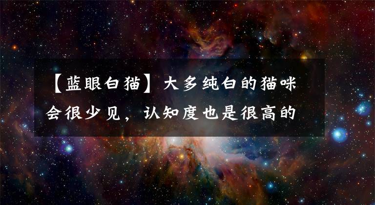 【蓝眼白猫】大多纯白的猫咪会很少见，认知度也是很高的，纯白猫咪有什么品种