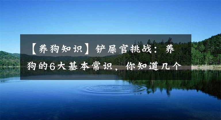 【养狗知识】铲屎官挑战：养狗的6大基本常识，你知道几个？