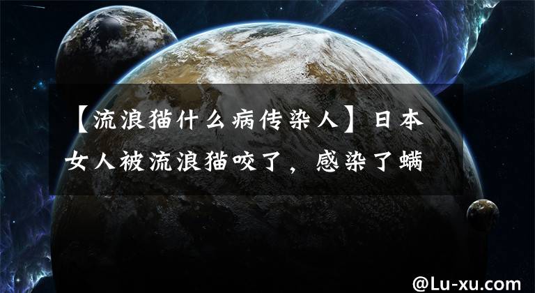 【流浪猫什么病传染人】日本女人被流浪猫咬了，感染了螨病，死亡了