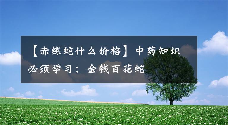 【赤练蛇什么价格】中药知识必须学习：金钱百花蛇