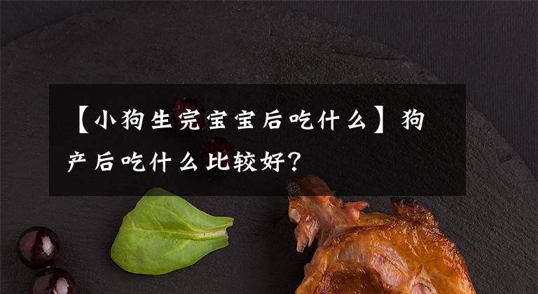 【小狗生完宝宝后吃什么】狗产后吃什么比较好？文章配图