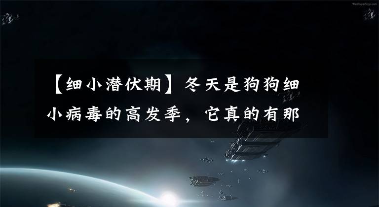 【细小潜伏期】冬天是狗狗细小病毒的高发季，它真的有那么可怕吗？