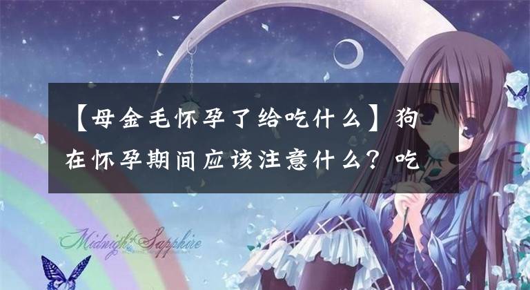 【母金毛怀孕了给吃什么】狗在怀孕期间应该注意什么？吃什么补充营养？文章配图