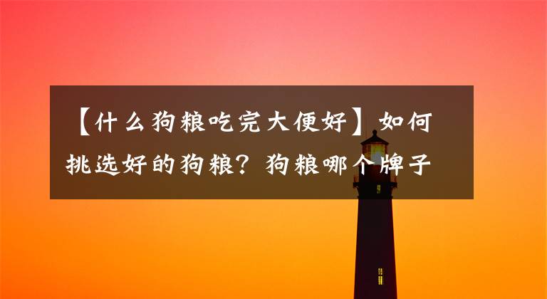 【什么狗粮吃完大便好】如何挑选好的狗粮？狗粮哪个牌子的质量好？文章配图