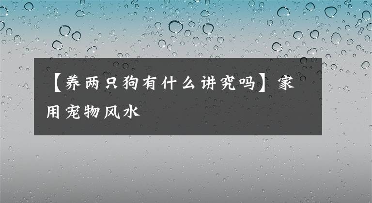 【养两只狗有什么讲究吗】家用宠物风水