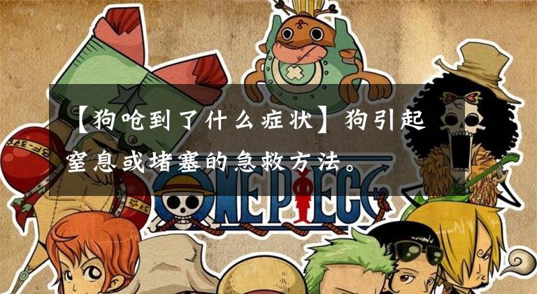 【狗呛到了什么症状】狗引起窒息或堵塞的急救方法。文章配图