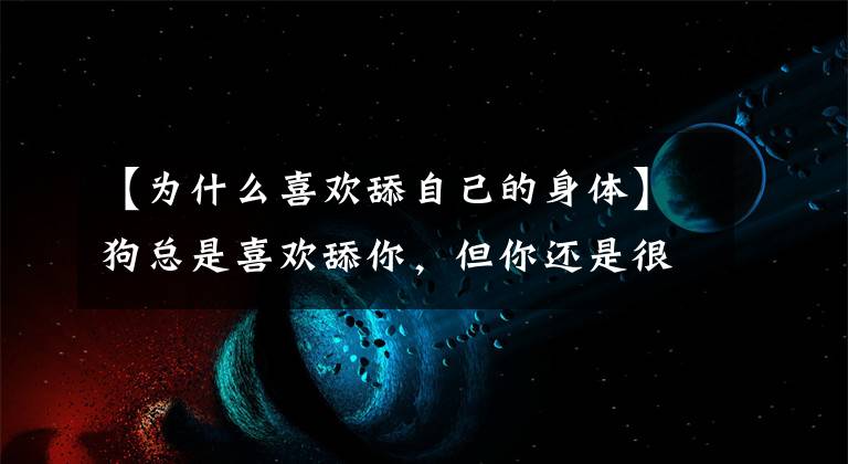 【为什么喜欢舔自己的身体】狗总是喜欢舔你，但你还是很傻，不知道为什么。