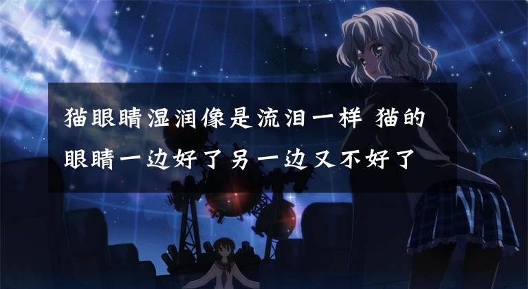猫眼睛湿润像是流泪一样 猫的眼睛一边好了另一边又不好了文章配图