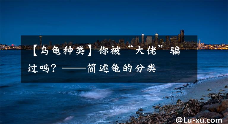 【乌龟种类】你被“大佬”骗过吗？——简述龟的分类