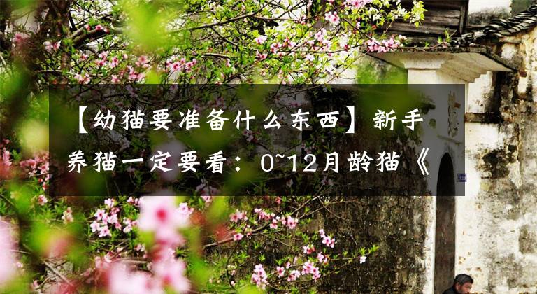 【幼猫要准备什么东西】新手养猫一定要看：0~12月龄猫《哺乳指南》，为了避免踩雷。文章配图