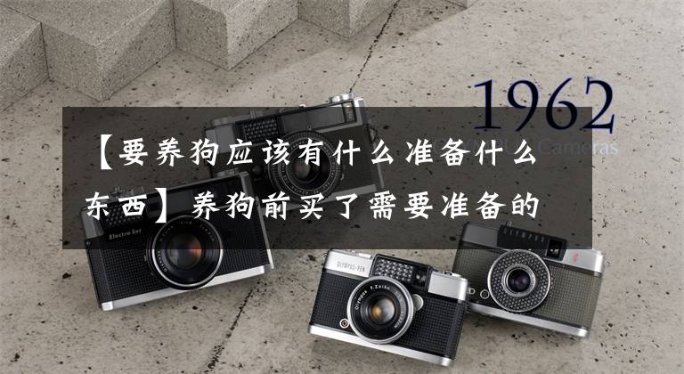 【要养狗应该有什么准备什么东西】养狗前买了需要准备的东西吗？文章配图