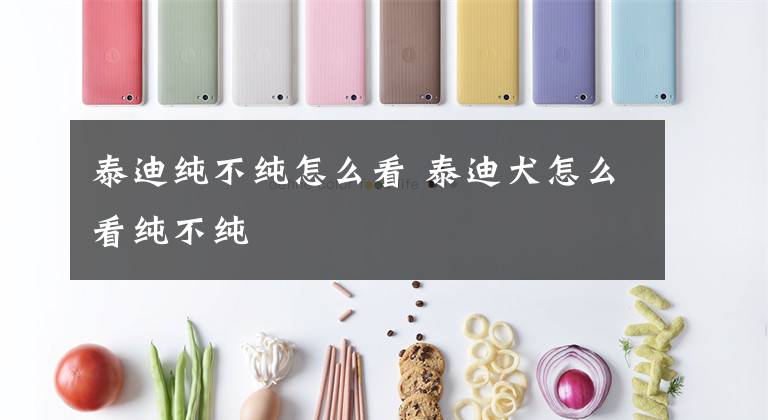 泰迪纯不纯怎么看 泰迪犬怎么看纯不纯文章配图