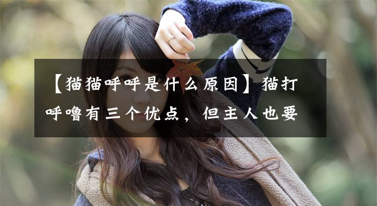 【猫猫呼呼是什么原因】猫打呼噜有三个优点，但主人也要仔细辨别其状态文章配图