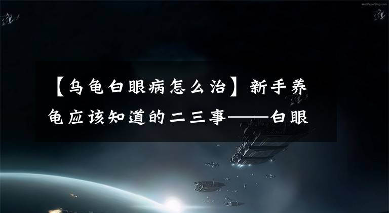 【乌龟白眼病怎么治】新手养龟应该知道的二三事——白眼病的治疗