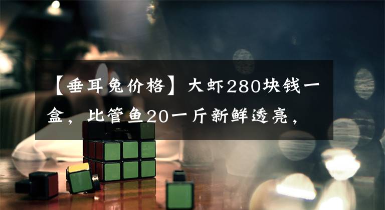 【垂耳兔价格】大虾280块钱一盒，比管鱼20一斤新鲜透亮，青岛春的味道愈发愈浓