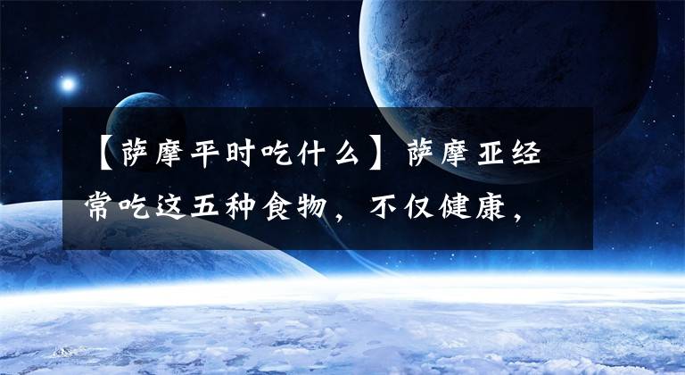 【萨摩平时吃什么】萨摩亚经常吃这五种食物，不仅健康，毛也更漂亮文章配图