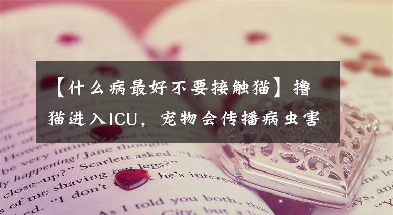 【什么病最好不要接触猫】撸猫进入ICU，宠物会传播病虫害吗？专家们说，不必反应过度。