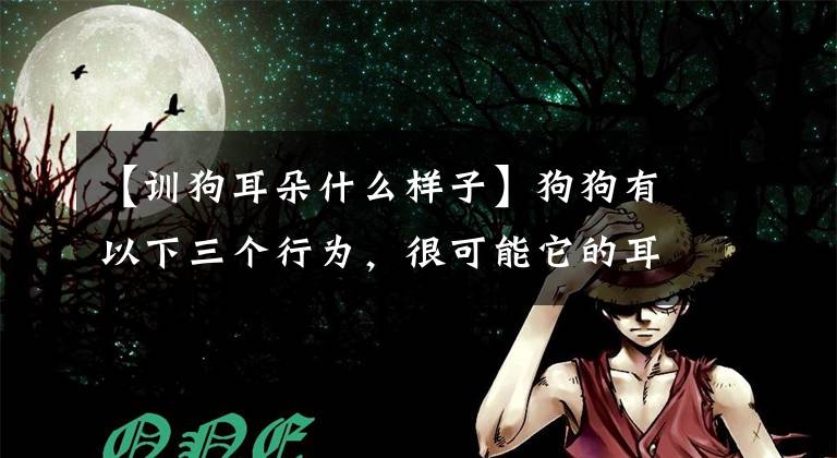 【训狗耳朵什么样子】狗狗有以下三个行为，很可能它的耳朵感染了，赶紧就医文章配图