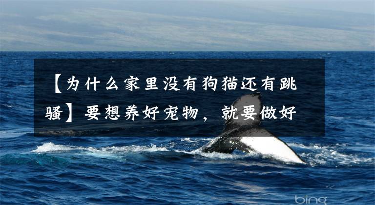 【为什么家里没有狗猫还有跳骚】要想养好宠物，就要做好驱虫工作。猫有跳蚤的原因只有一个文章配图