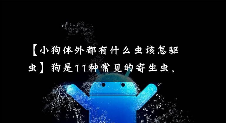 【小狗体外都有什么虫该怎驱虫】狗是11种常见的寄生虫，狗这么受虫子喜欢吗？主人记得定期驱虫文章配图
