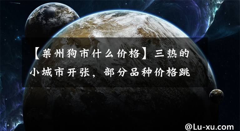 【莱州狗市什么价格】三热的小城市开张，部分品种价格跳水，小土狗不免费送