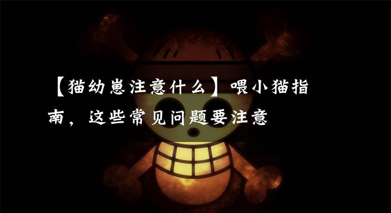 【猫幼崽注意什么】喂小猫指南，这些常见问题要注意文章配图