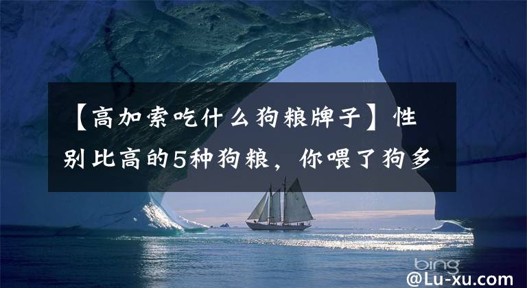 【高加索吃什么狗粮牌子】性别比高的5种狗粮，你喂了狗多少种？文章配图