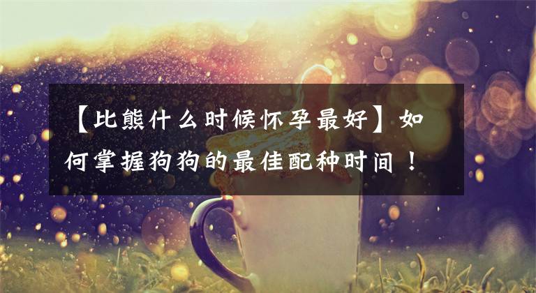 【比熊什么时候怀孕最好】如何掌握狗狗的最佳配种时间！文章配图