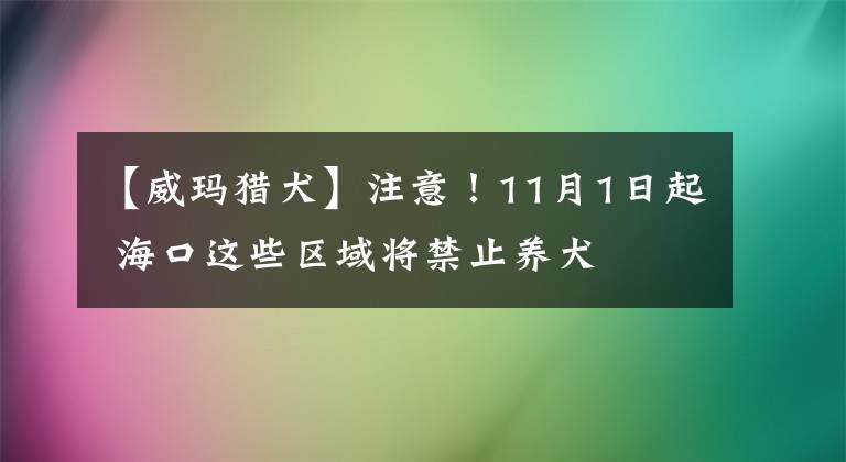 【威玛猎犬】注意！11月1日起 海口这些区域将禁止养犬