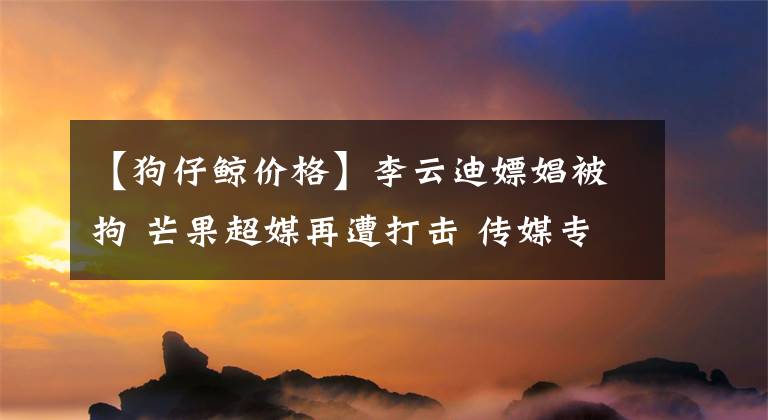 【狗仔鲸价格】李云迪嫖娼被拘 芒果超媒再遭打击 传媒专家李文：传媒公司对艺人操守依赖极重