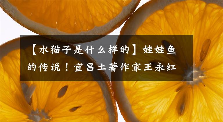 【水猫子是什么样的】娃娃鱼的传说！宜昌土著作家王永红作品：抓鱼文章配图