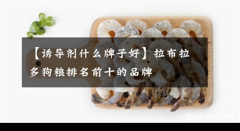 【诱导剂什么牌子好】拉布拉多狗粮排名前十的品牌文章配图