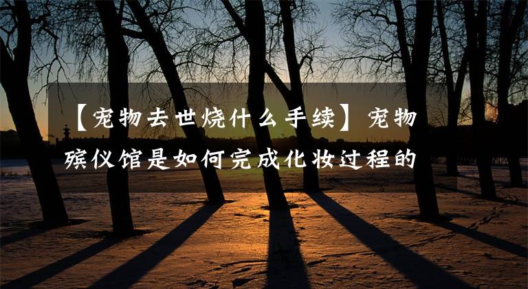【宠物去世烧什么手续】宠物殡仪馆是如何完成化妆过程的，业内人士会告诉你答案的。文章配图