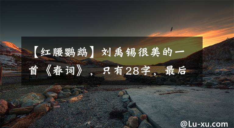 【红腰鹦鹉】刘禹锡很美的一首《春词》，只有28字，最后一句的“定格”惊艳