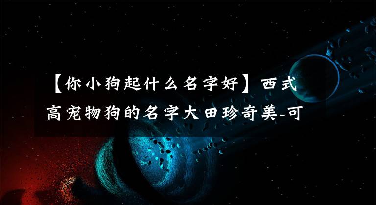 【你小狗起什么名字好】西式高宠物狗的名字大田珍奇美-可爱之处