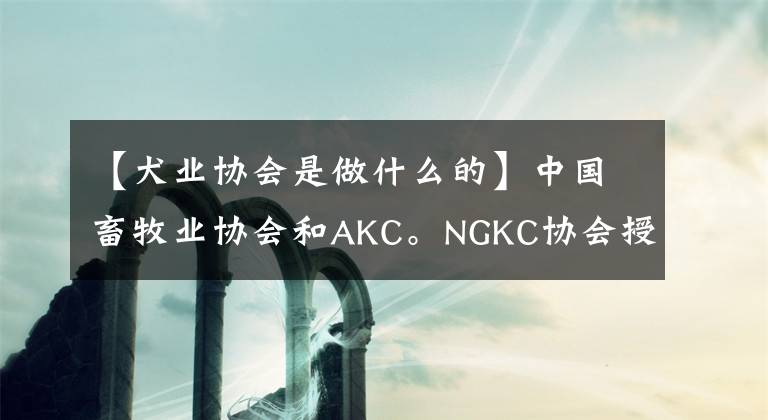 【犬业协会是做什么的】中国畜牧业协会和AKC。NGKC协会授权合作单位3354牧民及邻里训练学校。