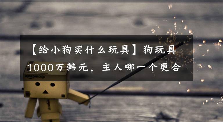 【给小狗买什么玩具】狗玩具1000万韩元，主人哪一个更合适？盘点狗的玩具种类文章配图