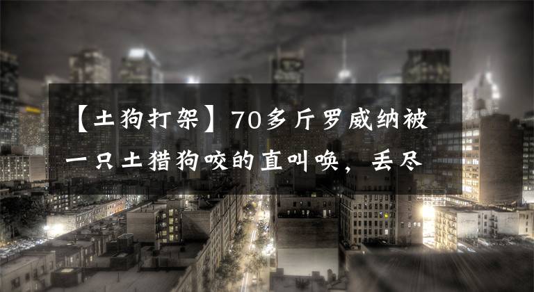 【土狗打架】70多斤罗威纳被一只土猎狗咬的直叫唤，丢尽狗脸