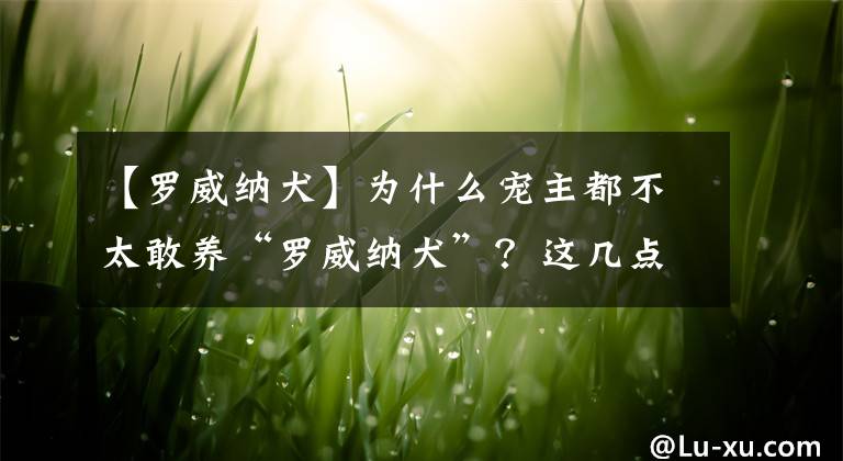 【罗威纳犬】为什么宠主都不太敢养“罗威纳犬”？这几点，很多人都怕