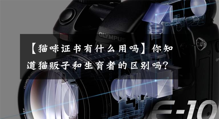 【猫咪证书有什么用吗】你知道猫贩子和生育者的区别吗？繁育五年后和你科普文章配图