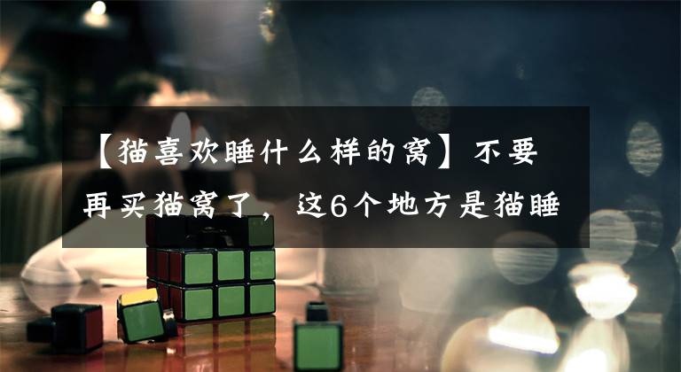 【猫喜欢睡什么样的窝】不要再买猫窝了，这6个地方是猫睡觉的第一个地方文章配图